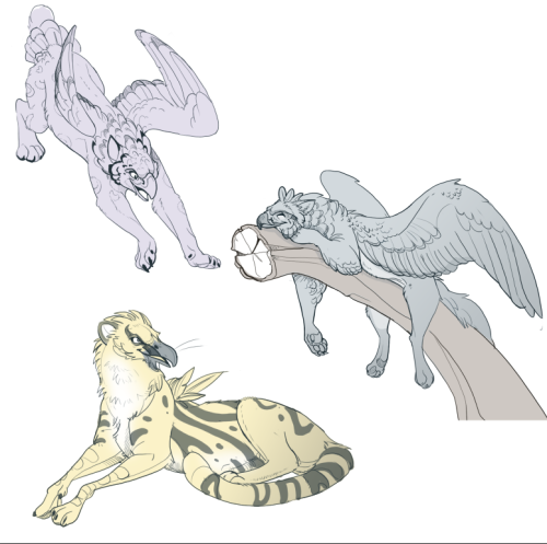 c3rmen:Gryphon Scribbles