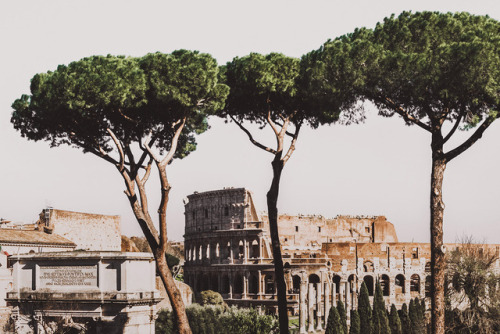 2seeitall: Memories of Rome (I)