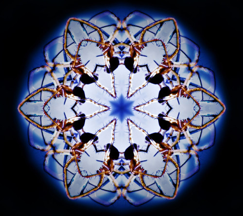Blog image