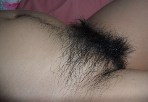 http://bellyhairandracingstripes.tumblr.com/post/155619712166