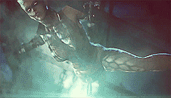 eddiecabotarchive-deactivated20:  copperhead in batman: arkham origins 