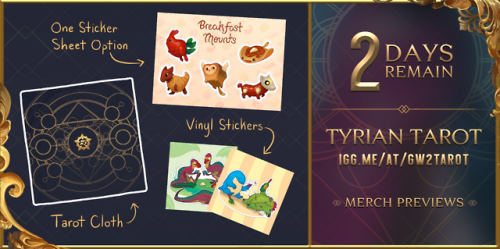 gw2collective: Tyrian Tarot: TWO DAYS REMAIN! And here are some of the previews for the campaign! As