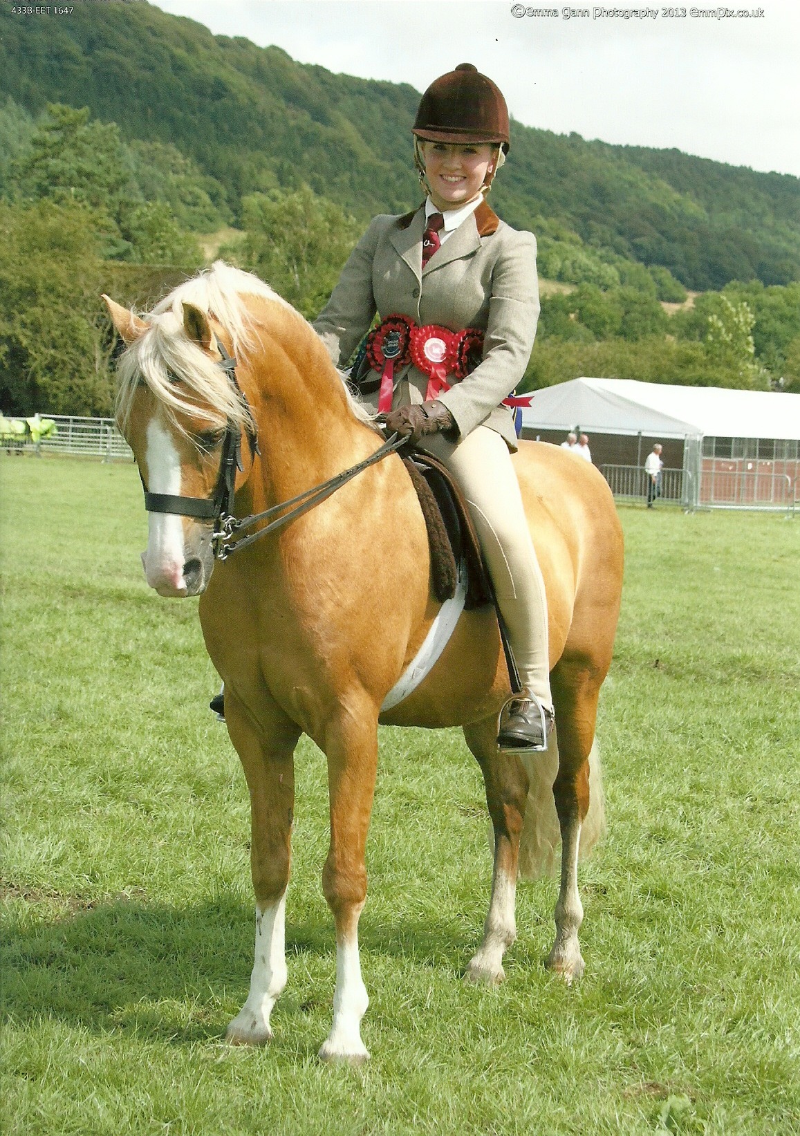 Place Unknown — Milford Fair Kestrel Milford Fanfare x Garrow Kara...