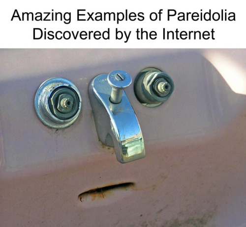 Amazing Examples of Pareidolia Discovered by the Internet (See 5 MORE)