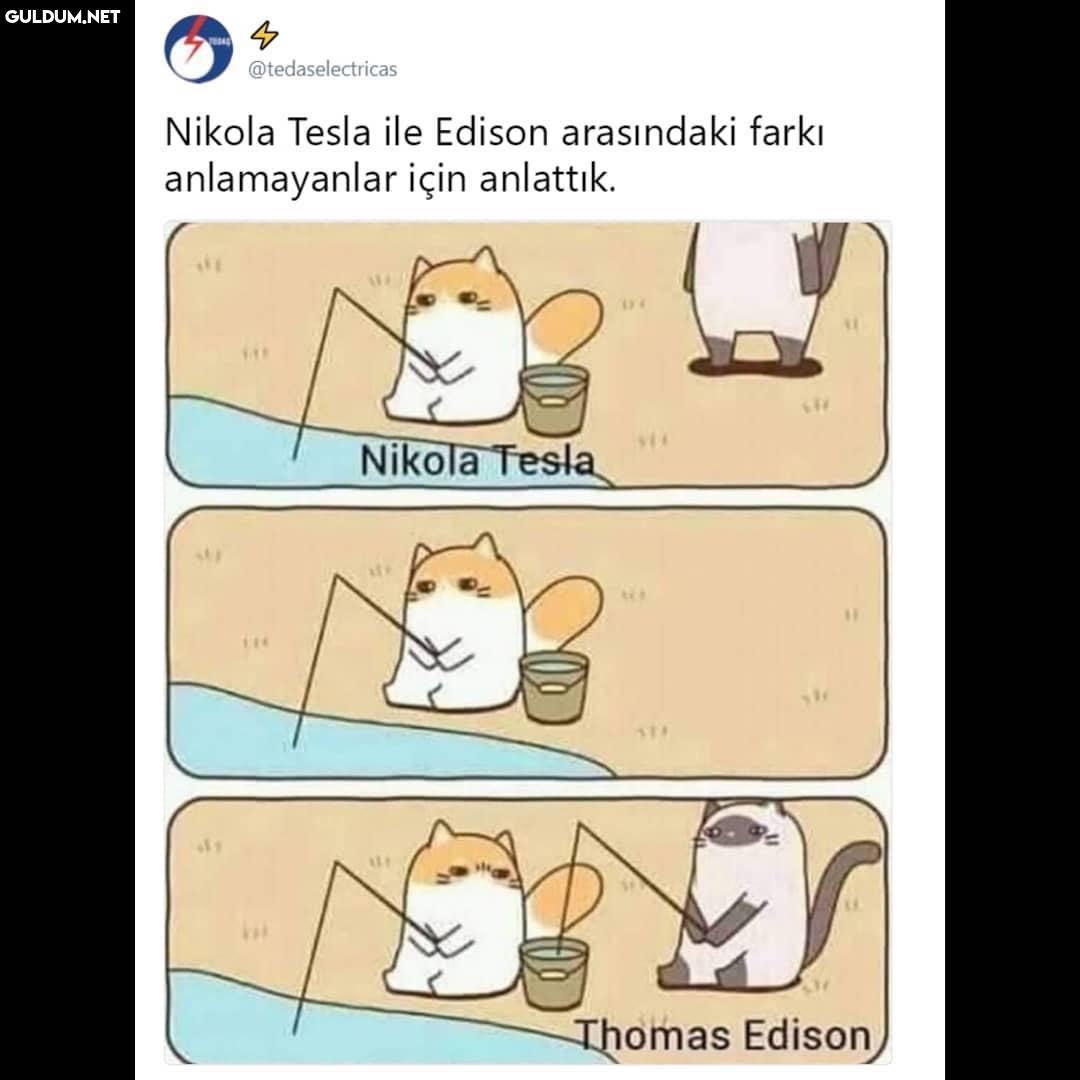 @tedaselectricas Nikola...