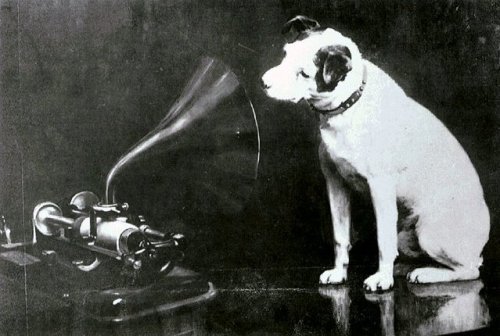 vinyl vice