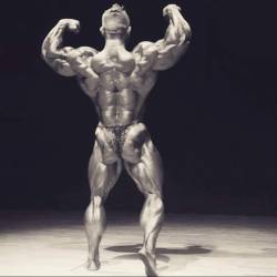 Flex Lewis