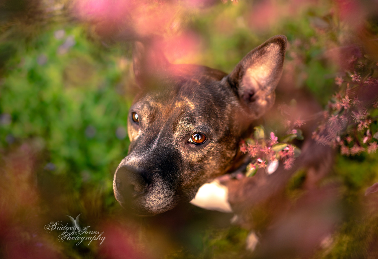 Evie and colorful plant life, a more perfect combination never existed.  All photos taken this year!