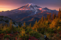 te5seract: A Perch for Rainier &amp; Vibrant Autumn by  Trevor Anderson    God I love the PNW😍🥰