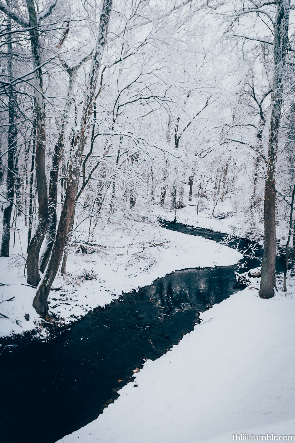 thliii:  2.5.16 Theodore H Lewis III | iStockPhoto | 500px | Instagram  