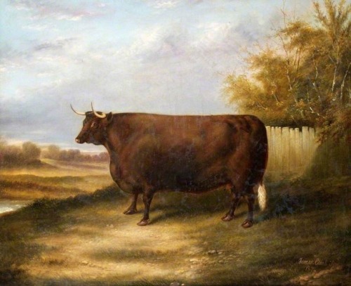 coeurdelhistoire:artekka:God bless 19th century livestock painters of absolute units.1. James Clark2