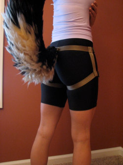 puppygear:  Tail harness which works with belt loop style tails.[x] 