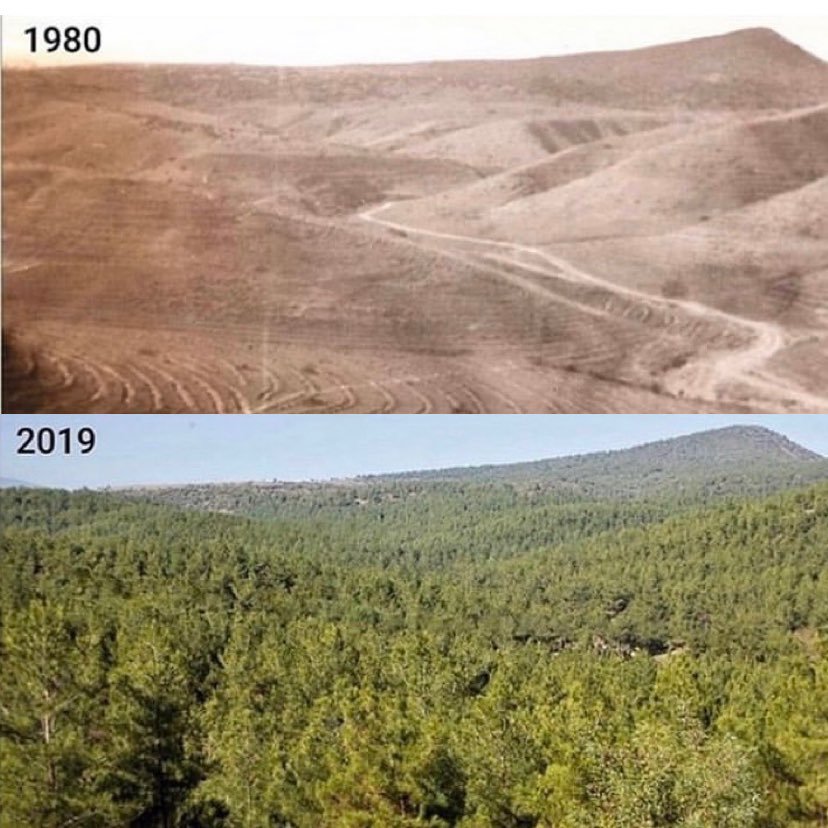 1980-2019; Boyabat,...