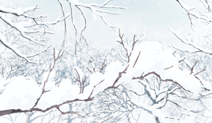 changing seasons 
