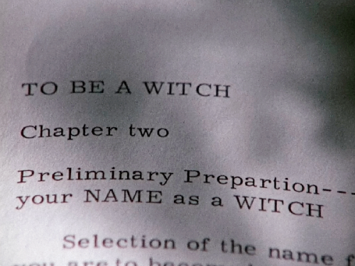 countess-zaleska: Season of the Witch (1972) dir. George A. Romero