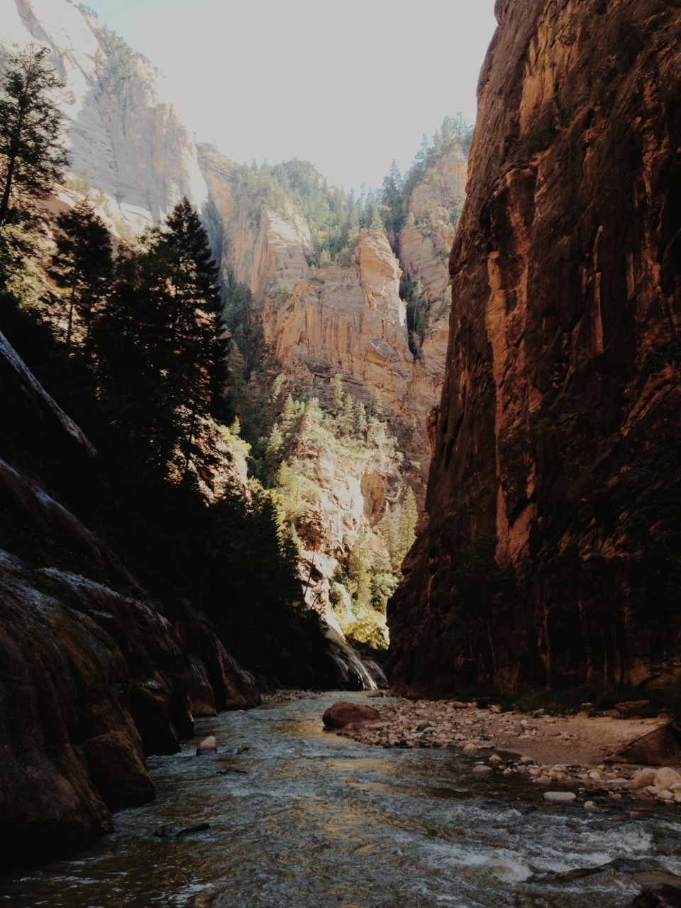 grumpygrizzlies:  Zion National Park in Utah   Been there
