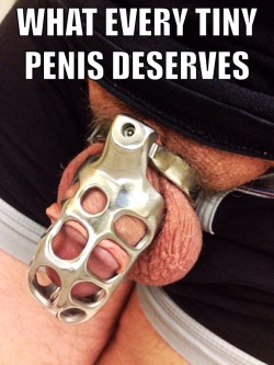 doasyouretold:  What every tiny penis deserves