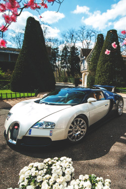 imposingtrends:  Bugatti Veyron | ImposingTrends