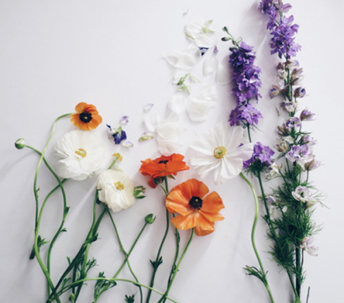 floralls:  (via How To Make Your Blooms Last Forever - Shop Sweet Things) 