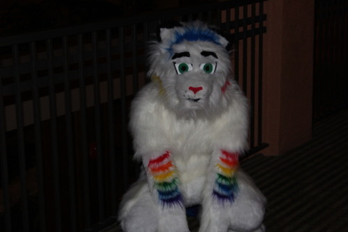 #Fursuit #Fursuiter #Rainbow Tiger