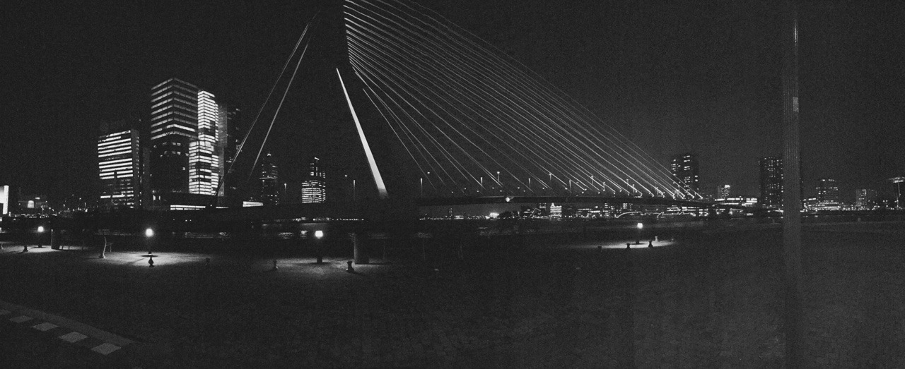 tigerbliss:  Rotterdam • taken by me