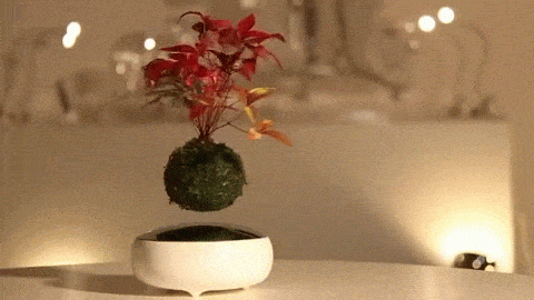 shatterstag:  archiemcphee:  If you love The Little Prince then you might need one