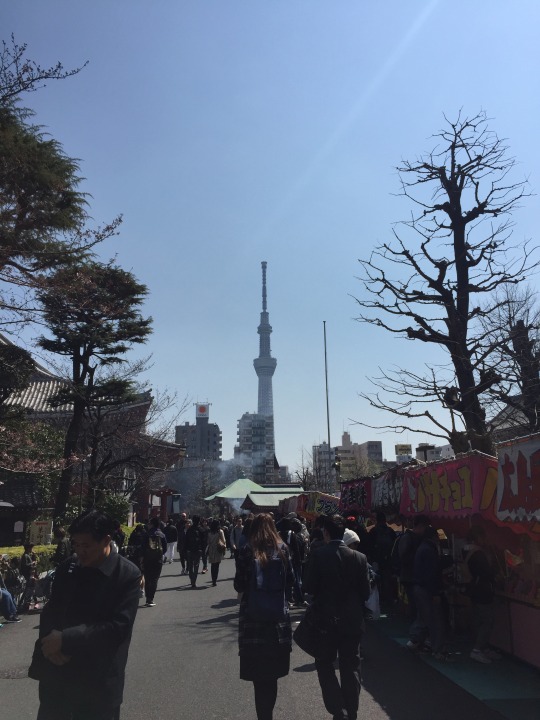 いらっしゃい
