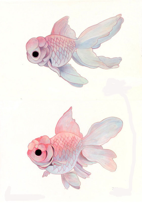 1000drawings:by ~hikarishimoda