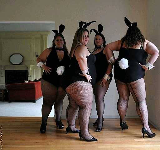 cuntryboi65bussyfootboi:    My kind of bunnies
