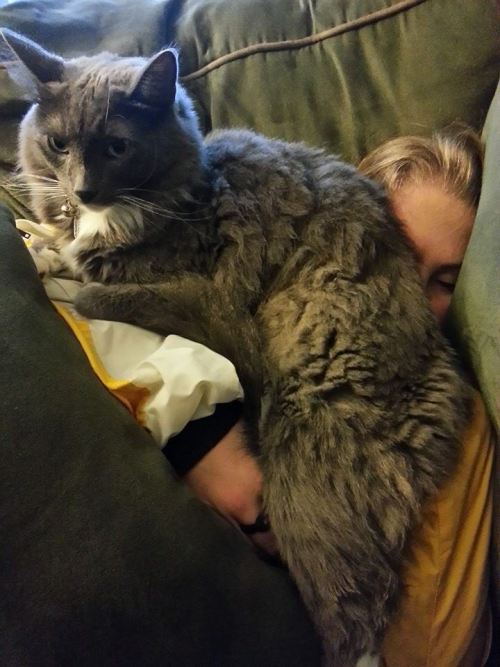 catsbeaversandducks: Never Forget Who Was There For You When No One Else Was All photos via Reddit. 