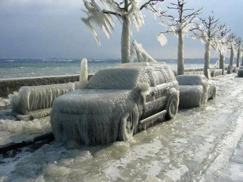 Sicagum Glaciatum! aheartofwood: shoshanna37: Chicago under ice, couple days ago. January 2014 this 