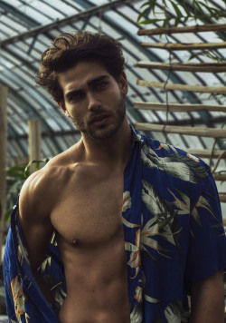 thebeautyofmalebodies:  helder afonso