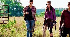  an accurate representation of me in a zombie apocalypse  bonus:  