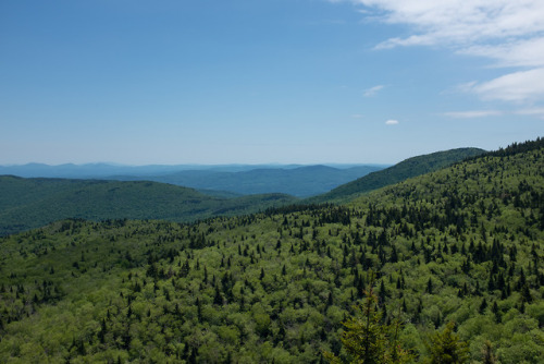 Camels Hump via Duxbury Road by Sawyer Sutton