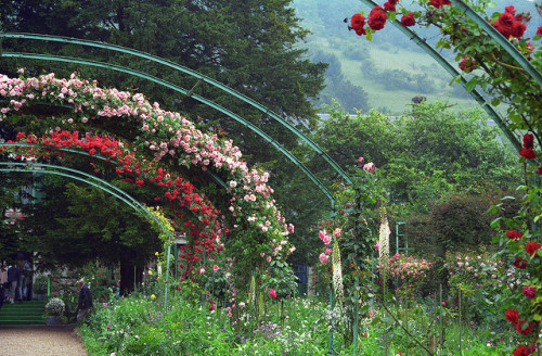 floralls:Monet’s house&garden, Giverny, France by Rick Ligthelm