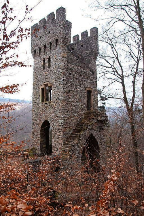 mynocturnality:Ruined Karlsburg Castle, Germany.