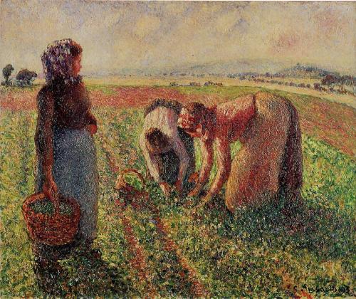 Picking Peas, 1893, Camille PissarroMedium: oil,canvashttps://www.wikiart.org/en/camille-pissarro/pi