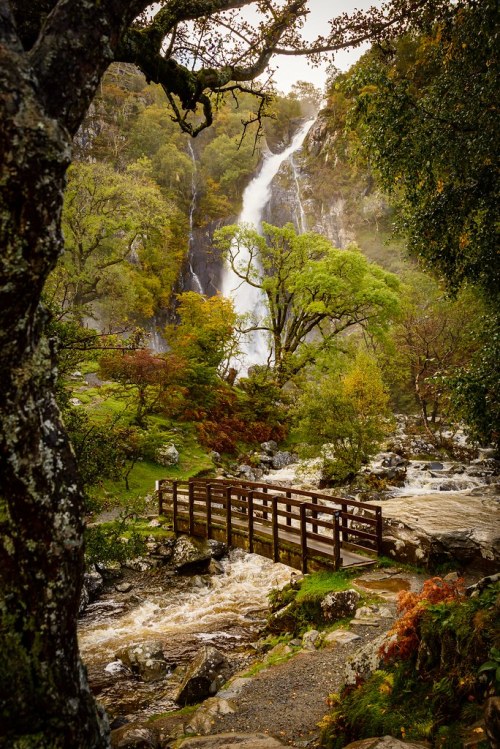 lovewales:Aber Falls  |  by Patrick Higgins