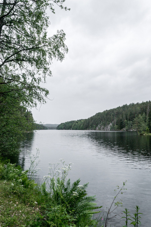 z Nøklevan do Hauktjern