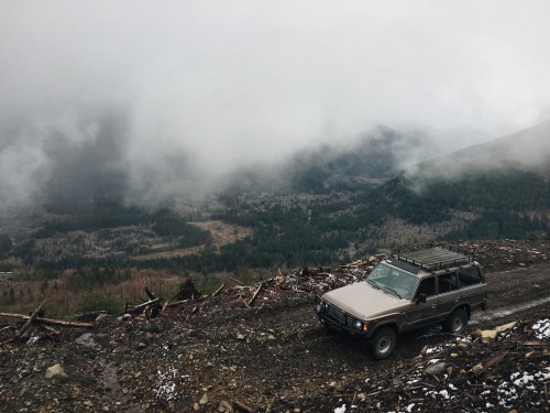 1985zcar: Explored a couple trails up by Skykomish that I had never gone on before. Was not disappoi
