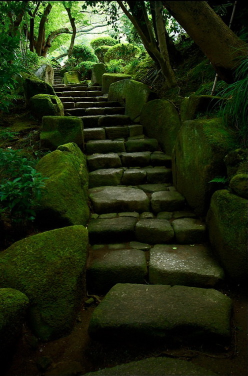 Mossy stairs to Hōkoku-ji Temple in Kamakura, Japan (by yuo).