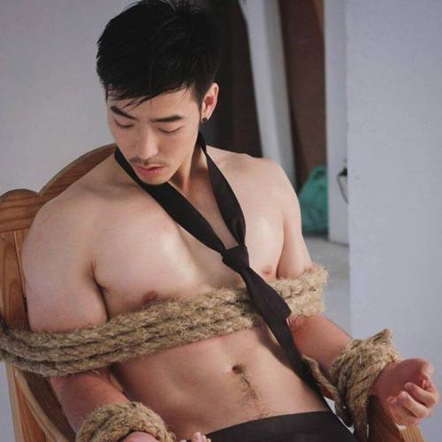 Asian Male Muscle