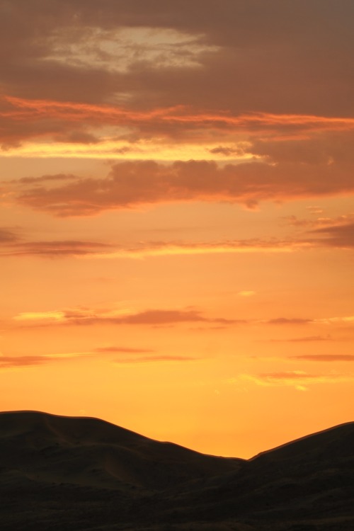 margaretinthewood:Mojave Desert /California
