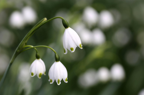 atraversso:  Kiss me  by YUYU Photography 