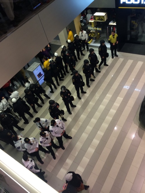 thinksquad:  A mass of demonstrators chanting, “Black lives matter,” converged in the Mall of America rotunda Saturday as part of a protest against police brutality that caused part of the mall to shut down on a busy day for holiday shopping. The