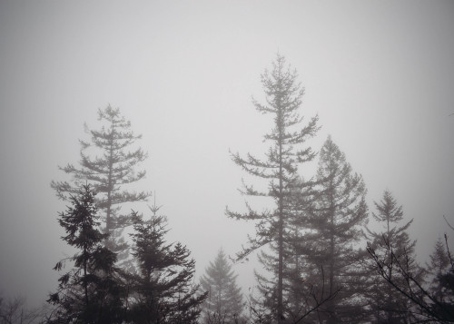 Haze // Mt. Peakljgelman