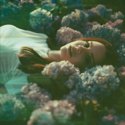 mydarkangel2pls:  deadlynigthshade:Lana Del Rey’s new outtake by Neil Krug  hptals