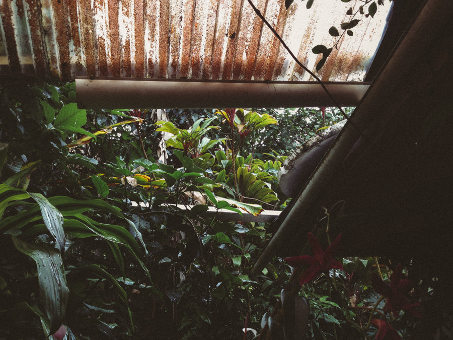gypsyone:  Fresh Air 