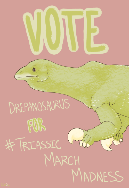 drawingwithdinosaurs: fess3y:  Vote Drepanosaurus to win Triassic March Madness 2020! These incredib