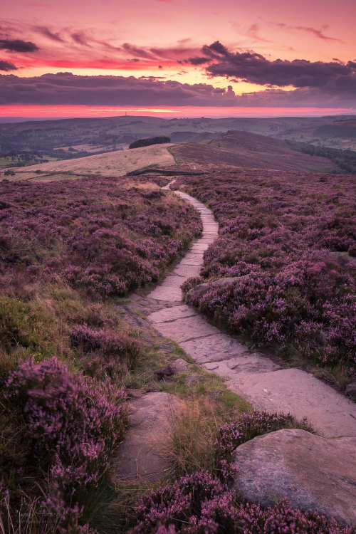 expressions-of-nature:Staffordshire, England by James Picture